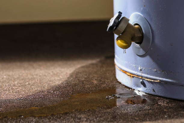 Best Sewage cleanup and water damage restoration  in Yorketown, NJ