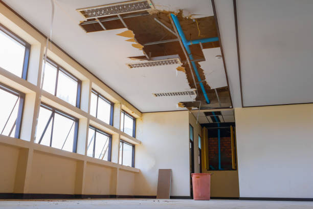 Best Residential water damage restoration  in Yorketown, NJ