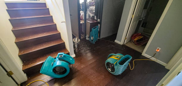 Local water damage restoration in NJ