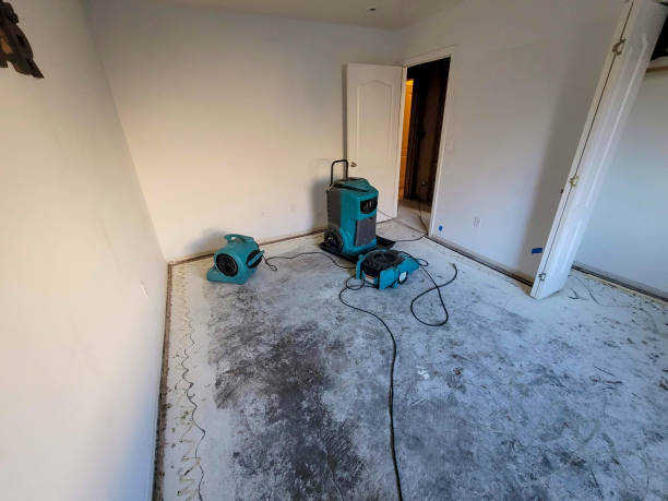 Best Mold removal after water damage  in Yorketown, NJ