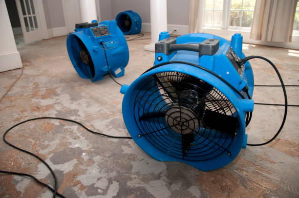 Best Water damage restoration near me  in Yorketown, NJ