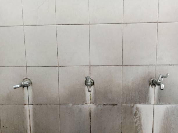 Best Commercial water damage restoration  in Yorketown, NJ